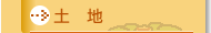 �y�n